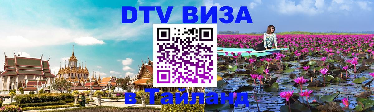 Оформление DTV визы под ключ: стоимость и тарифы, только загранпаспорт - 